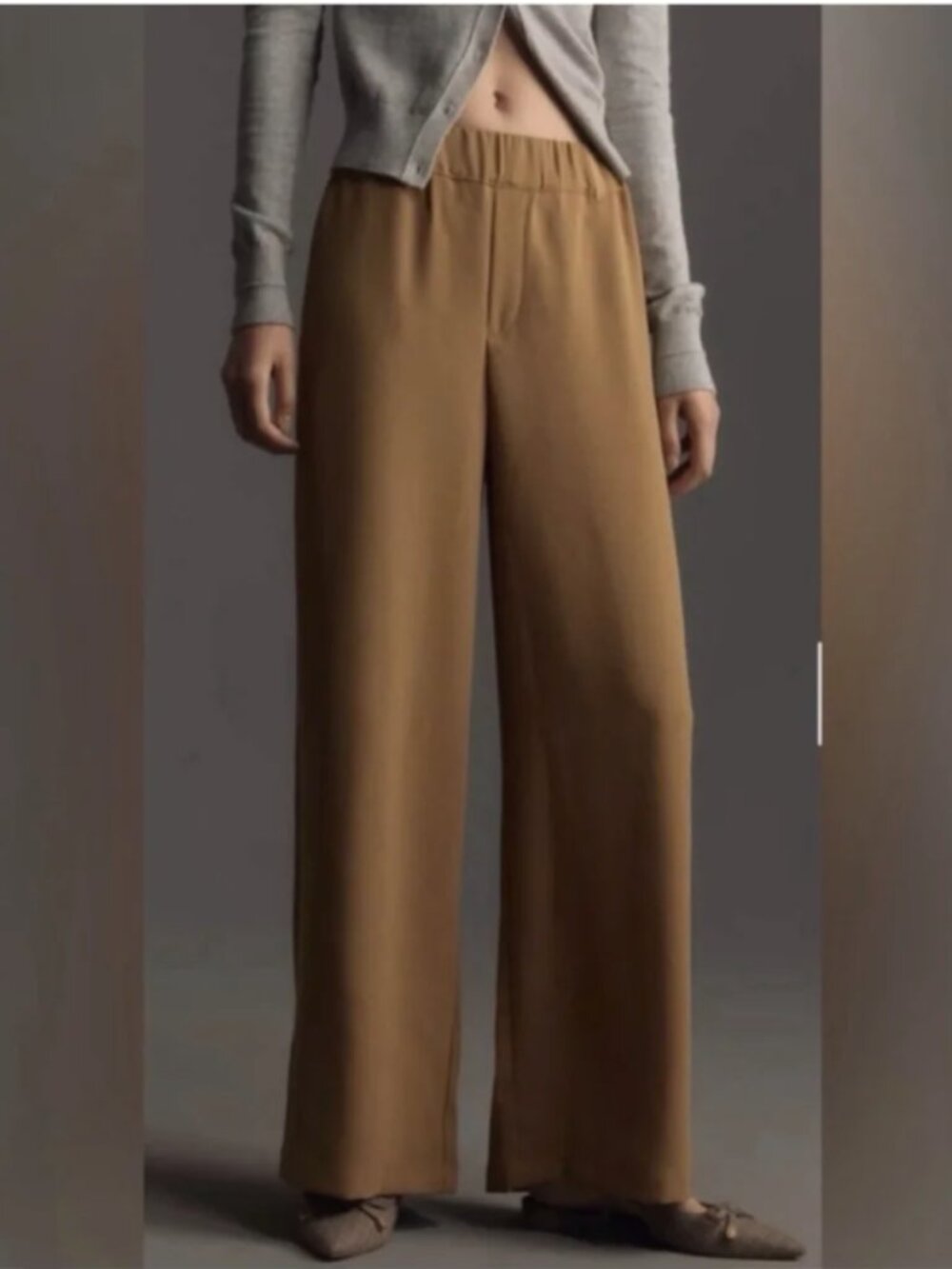 Anthropologie Wide Leg Pants XS Tan